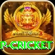 2022 world cup cricket VIP v1.3.7