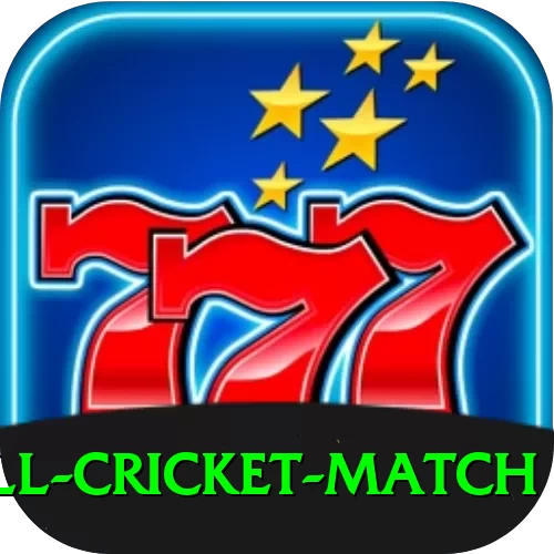 all cricket match Deluxe v2.1.8 - 2