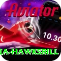 antigua hawksbill Deluxe v1.1.9