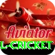 bbl cricket Games (Casino & Earning) Max v1.4.8