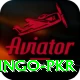 Bingo PKR VIP Edition v2.0.6