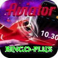 bingo Pro Max v4.9.1