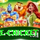 bpl live cricket Pro v4.1.0