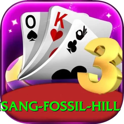 chhusang fossil hill Premium Edition v5.3.2 - 2
