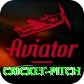 cricket pitch App
