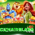 danushka gunathilaka Apps (Tools & Injectors) VIP v3.7.1