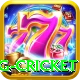 eng cricket Pro v2.4.6