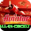 fastest ball in cricket Pro1 v1.6.0