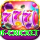 god of cricket Apps (Tools & Injectors) Pro v2.6.0