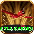 hile ilam tea garden Plus Pro v3.7.8