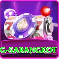 horse riding sarangkot VIP Edition v1.6.2