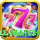 ind all match Pro Edition v4.4.6