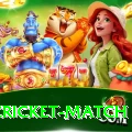 india cricket match Elite Pro v1.0.0