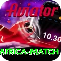 india south africa match VIP Edition v5.2.3
