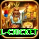 international cricket Turbo v3.9.2