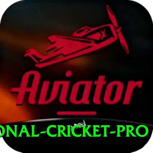 international cricket Games Deluxe - 2