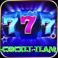 ireland cricket team Plus v3.4.3
