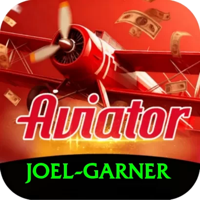 joel garner VIP Pro v1.4.4 - 2