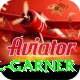 joel garner VIP Pro v1.4.4