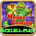 king mackerel Official v3.0.8