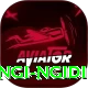 lungi ngidi Premium v4.8.1