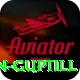martin guptill Plus v1.5.5