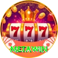 Metawin VIP Pro vv5.4.8