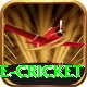 mobile cricket Pro v3.7.4