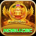 mobilecric Master Pro v5.6.2