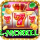 morne morkel Max Pro v5.4.8
