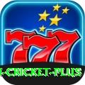 most centuries in cricket Slots Plus v4.4.5
