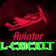 most runs in international cricket Apps (Tools & Injectors) Deluxe v3.1.3