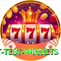 most test wickets Deluxe v5.6.4