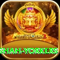 naseem shah yorkers Games (Casino & Earning) Premium v2.3.0