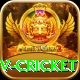 ndtv cricket Elite Pro v1.4.6