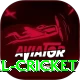 nepal cricket Deluxe Edition v4.5.1