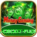 nepal cricket PK Premium