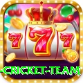 new zealand cricket team Master v2.3.4