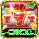 online cricket Turbo v1.5.4