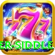 peter siddle Plus v3.9.5