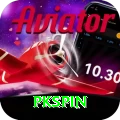 pkspin Master Pro vv5.6.6
