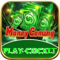 play cricket Max v1.9.9
