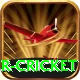 r cricket VIP