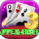 red snapper fish Plus Pro v3.5.3