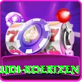 rudi koertzen Max Pro v1.4.5