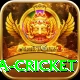 sa cricket Plus