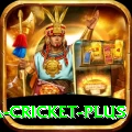 sa cricket Casino Official v3.4.4