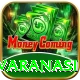 sarnath deer park varanasi Gold v4.3.4