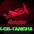 shabaz gil tamgha Apps (Tools & Injectors) Plus v4.2.3