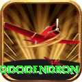 simbhanjyang rhododendron Apps (Tools & Injectors) Master v5.4.5